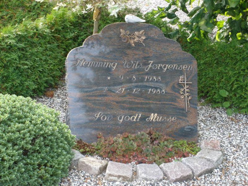 Flemming Wils Joergensen.JPG